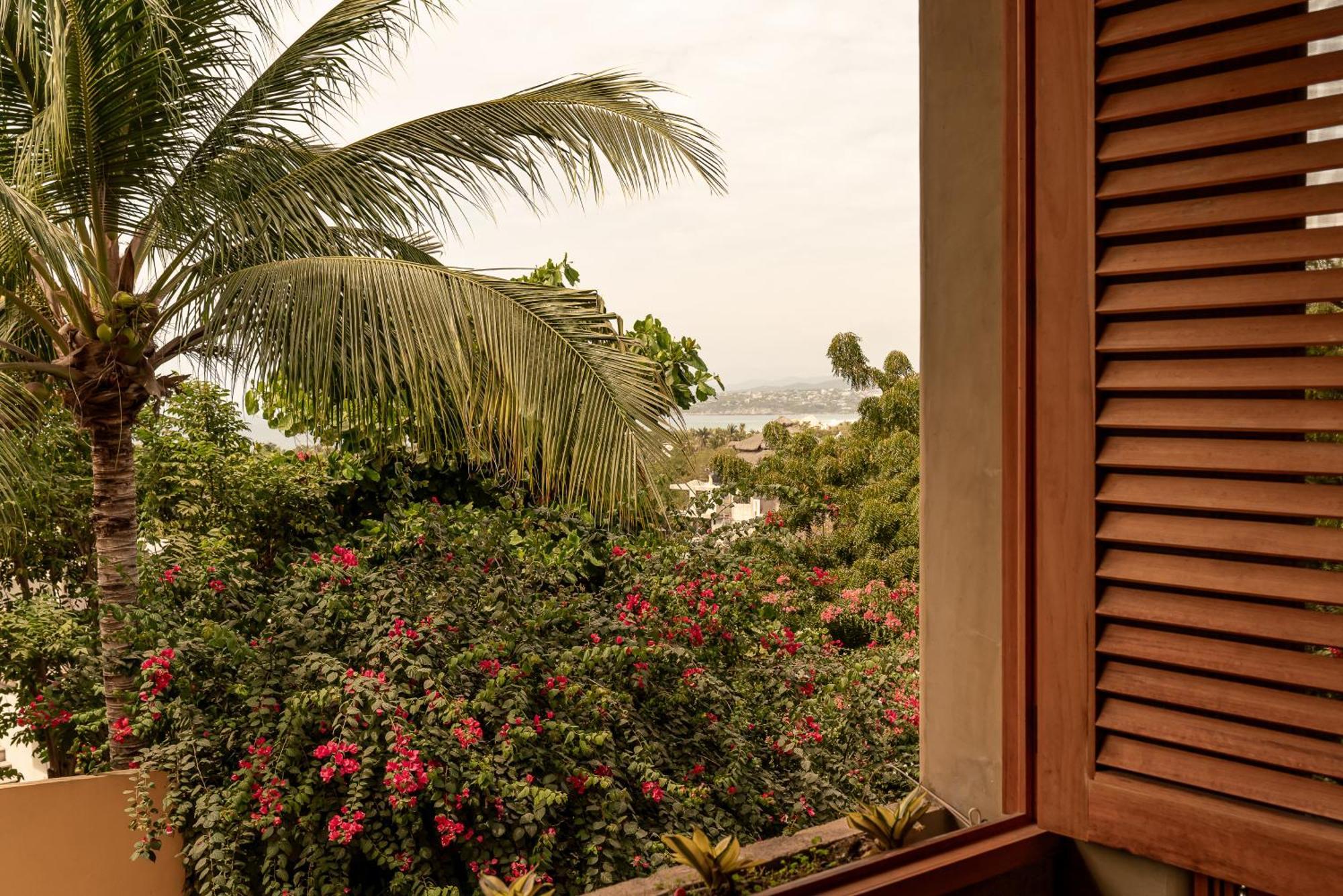 Villa Macarena Apartamentos Boutique - Adults Only Puerto Escondido  Oda fotoğraf